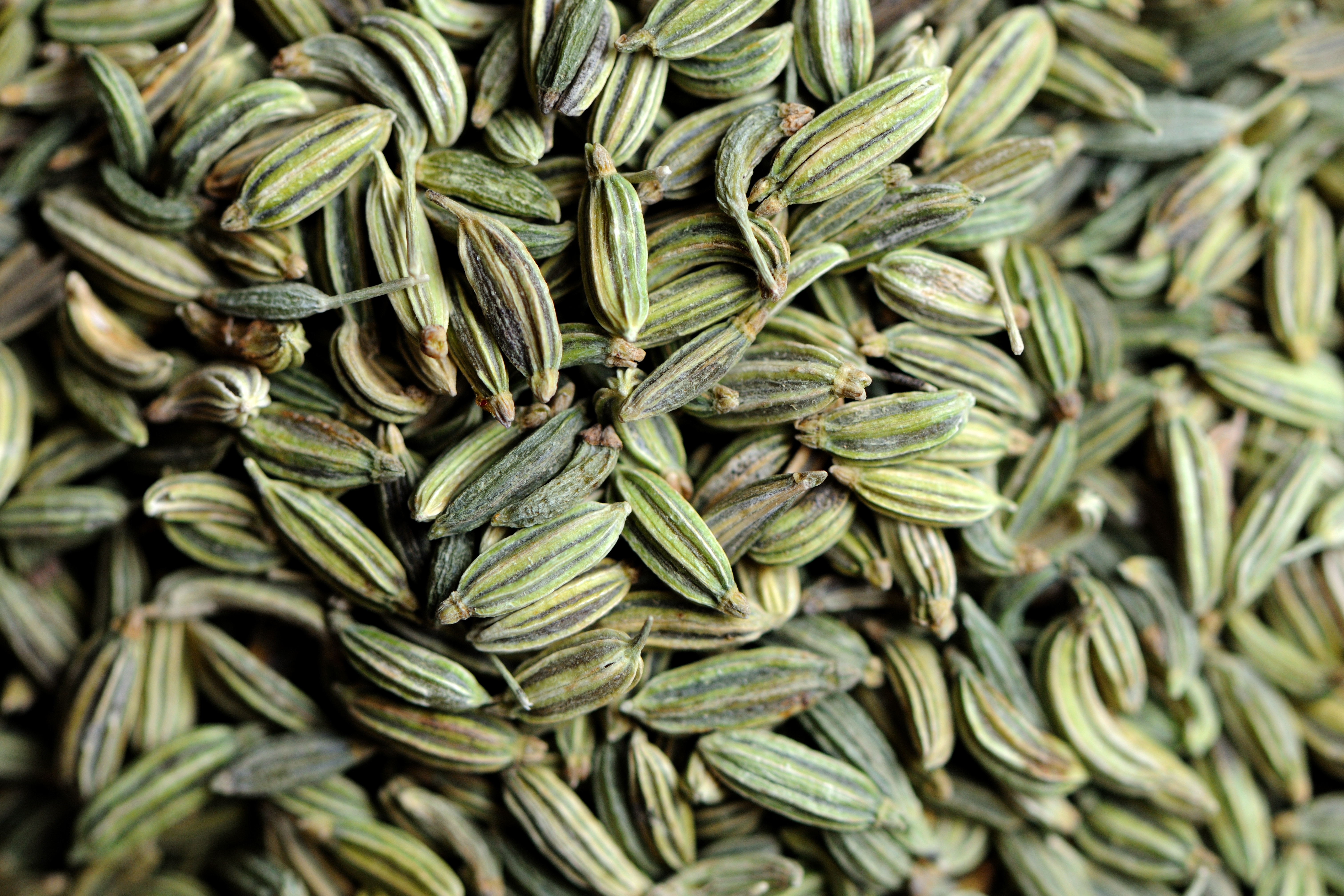 Fennel And Ginger Ice Cream Recipe Great British Chefs